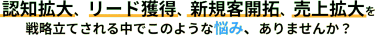 認知拡大、リード獲得、新規客開拓、売上拡大の中で このような悩みありませんか？