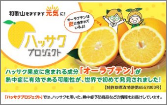 ハッサク由来オーラプテン（熱中症対策）（株式会社和環）