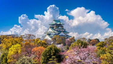 Cherry blossoms and castle in Osaka, Japan.