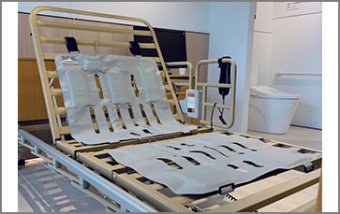 Smart Mat and Healthcare Assistant