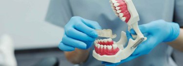 a global journey through oral health