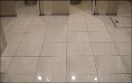 Toilet Reset