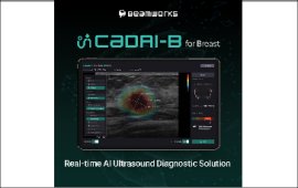 CadAI-B