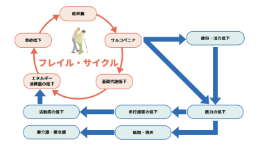 フレイル サイクルイメージ図