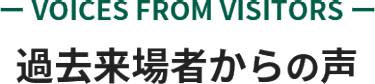 過去来場者からの声