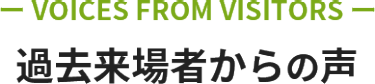 過去来場者からの声