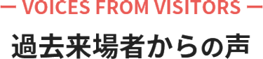 過去来場者からの声