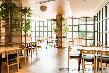 イメージ写真
