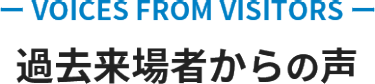 過去来場者からの声