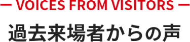 過去来場者からの声