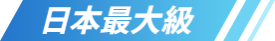 日本最大級