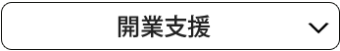 海外製品