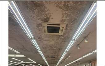 除カビ施工