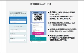 ハヤペイ